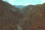 Aberfeldy-River.jpg (34664 bytes) 30km up stream from Walhalla