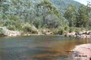 wonnangatta_river.jpg (67397 bytes) 12km  West Of Dargo